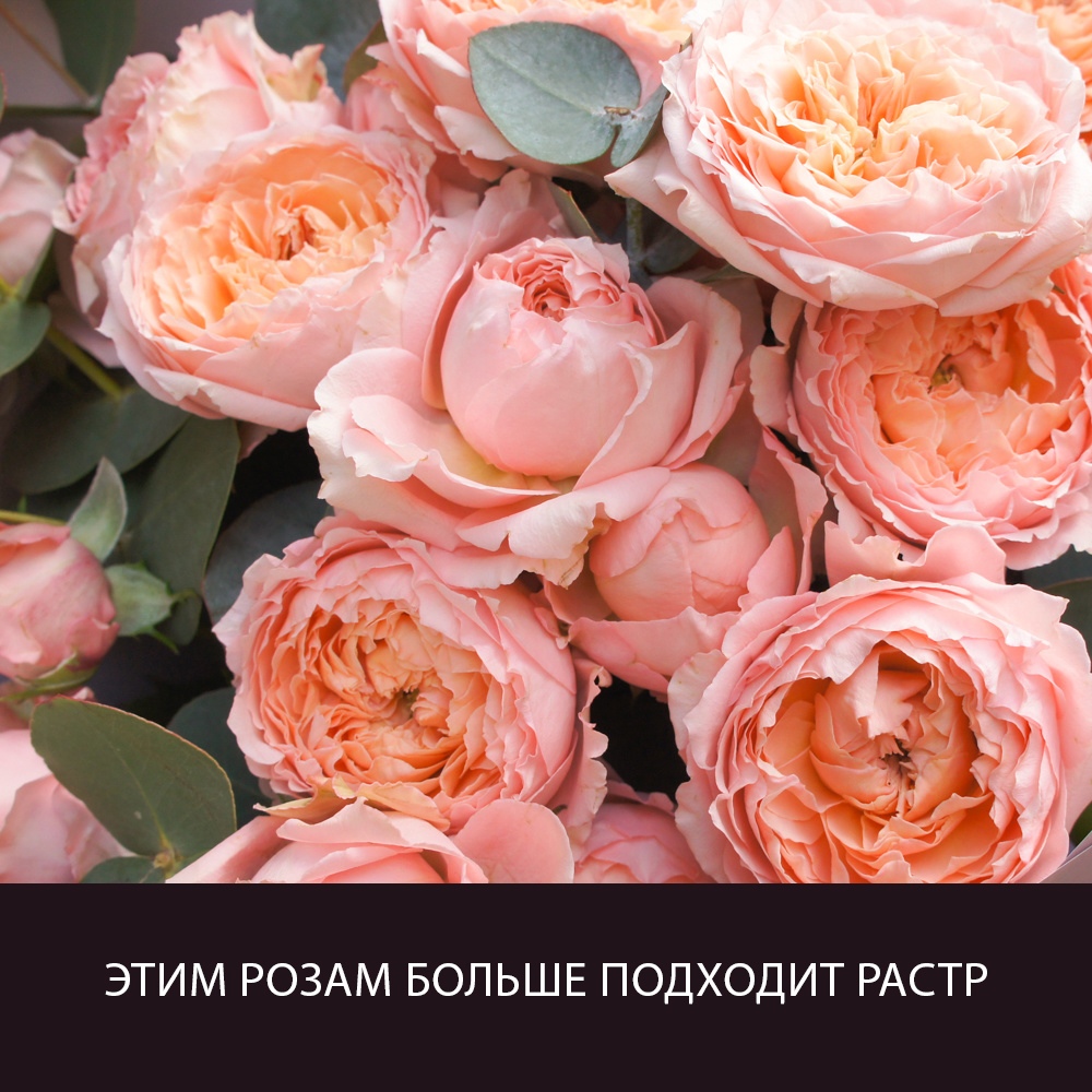 Что такое вектор?