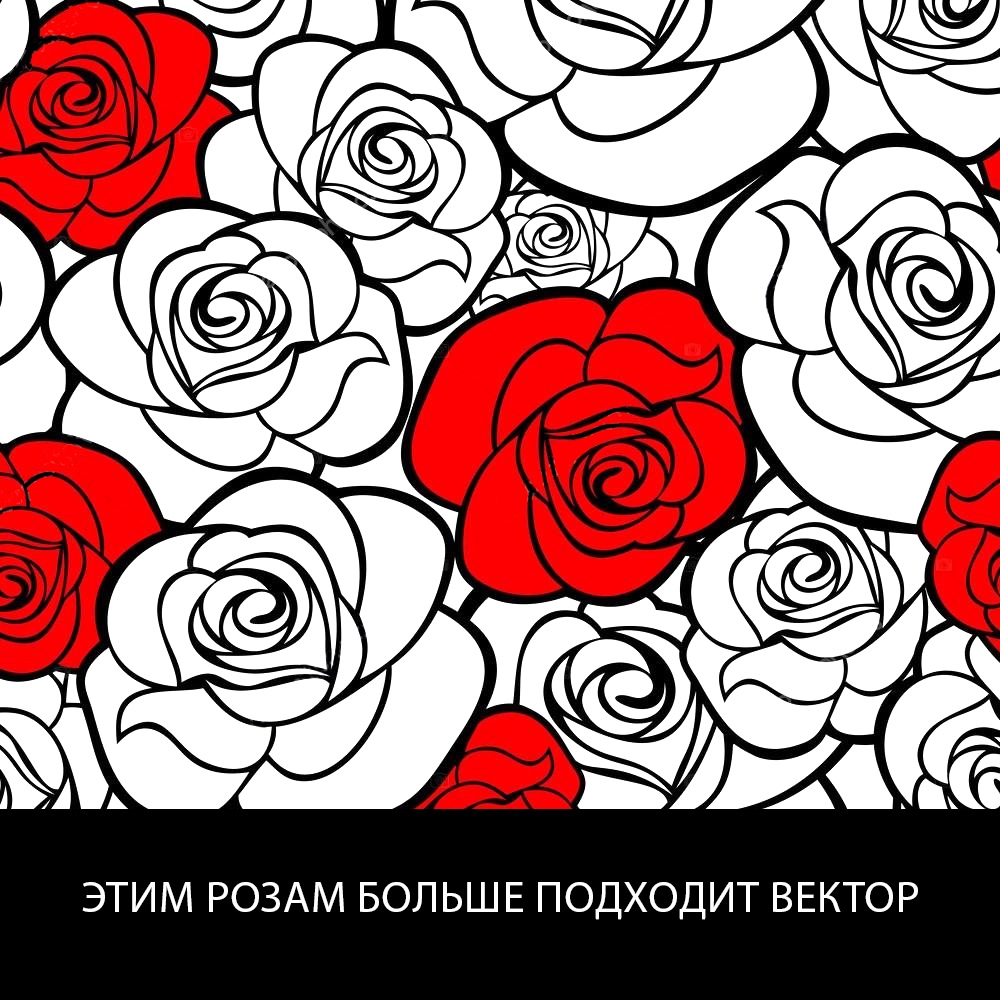 Что такое вектор?